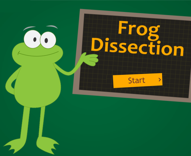 Frog Dissection